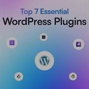 Top 7 Essential WordPress Plugins For Success 2024