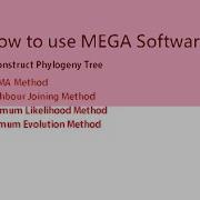 Tutorial How To Use Mega Software To Construct Phylogenetic Models Bioinformatics