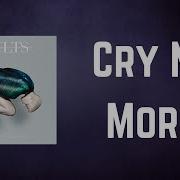 Vaults Cry No More Lyrics