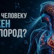 Зачем человеку нужен кислород Наука о дыхании