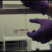 Basic NMR Sample Preparation Yale CBIC