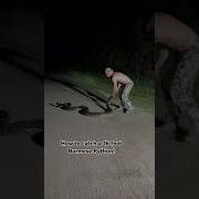 How To Catch A 16 Foot Burmese Python Found In The Florida Everglades