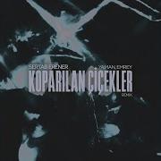 Koparılan Çiçekler Feat Sertab Erener Remix