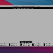 Testing Your C Programs Using Bash Scripts