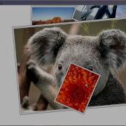 Multitouch Examples In WPF Using A Win7 Version Of The Surface Scatterview Control
