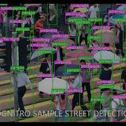 Cognitro Pedestrians And Street Object Detection