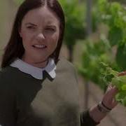 NAB Small Business Two Rocks Winery