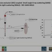 SEC SAXS Data Analysis