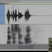 05 Basic Editing In Praat