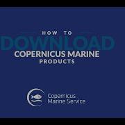 How To Download Copernicus Marine Products