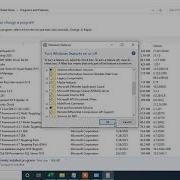 3 How To Enable CGI For IIS