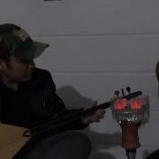 Saz Gitar Arix Saz Sirwan Guitar Arya