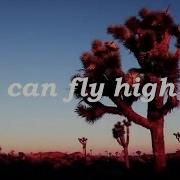 Lost Frequencies Reality Lyrics