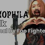 Foo Fighters Walk Cover By NEMOPHILA