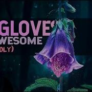 Foxglove Is Even COOLER Than You Know