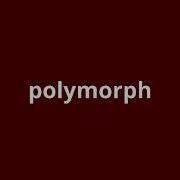 What Is The Meaning Of Polymorph