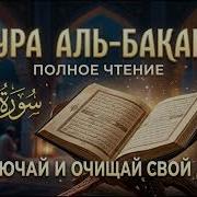 Сура АЛЬ БАКАРА Шайтан убегает из дома где звучит этот Коран