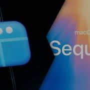 Управление окнами сравнение Sequoia Raycast