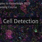 Mastering Cell Detection In QuPath From Standard Methods To Deep Learning