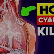 Why Getting Naked Can Help You Survive Cyanide Poisoning