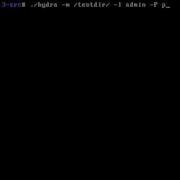 Using Hydra To Break HTTP Basic Auth