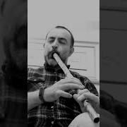 Hatıran Yeter