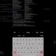 Ethereum Wallet Checker Script Using Your Own API