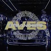AVES Strangers Techno