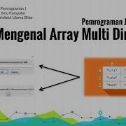 Java Dasar Mengenal Array Multi Dimensi