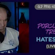MORE LIVE PORCUPINE TREE HATESONG REACTION OLD PROG HEAD REACTS TO MODERN PROG