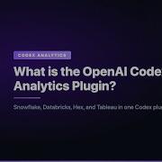What Is The OpenAI Codex Data Analytics Plugin
