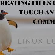 Linux Command Line Basics Creating Files Using Touch And Cat Commands