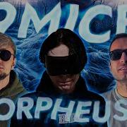 9mice ORPHEUS Реакция Иностранца НА БЭХЕ