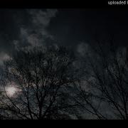 EGOLESS Roots 303