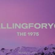 The 1975 Fallingforyou Lyrics
