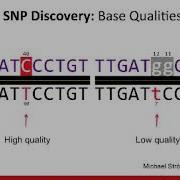 Small Variant Calling And Annotation