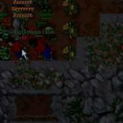 Tibia Trap In Rookgaard Hippo CKun