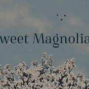 Sweet Magnolias Season 1 2 Official Opening Credits Intro Netflix Series 2020 2022