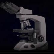 Microscopy Virtual Lab