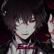 Echo Slowed Version