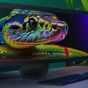 Wait One Quick Minute Python Song Lyrics By Kathy P A