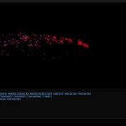 Particle System Physics Test Using Custom Engine