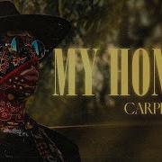 Carpetman My Honey