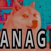 Doge S Bread Bank