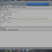 PL SQL 1 PL SQL Environment And Variables