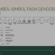 Cara Membuat Genogram Secara Sederhana