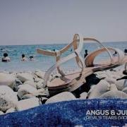Angus Julia Stone Devil S Tears Vicion Ft Tesity Cover