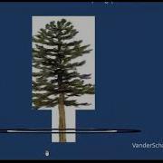 Variable Radius One