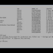 The Container CVE Scanner Clair In Action