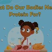 What Do Our Bodies Need Protein For Science Facts For Kids Biology For Kids The Human Body